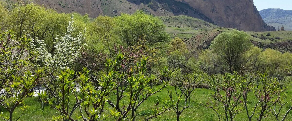 Areni Lodge Reconnecting Armenia To Diaspora